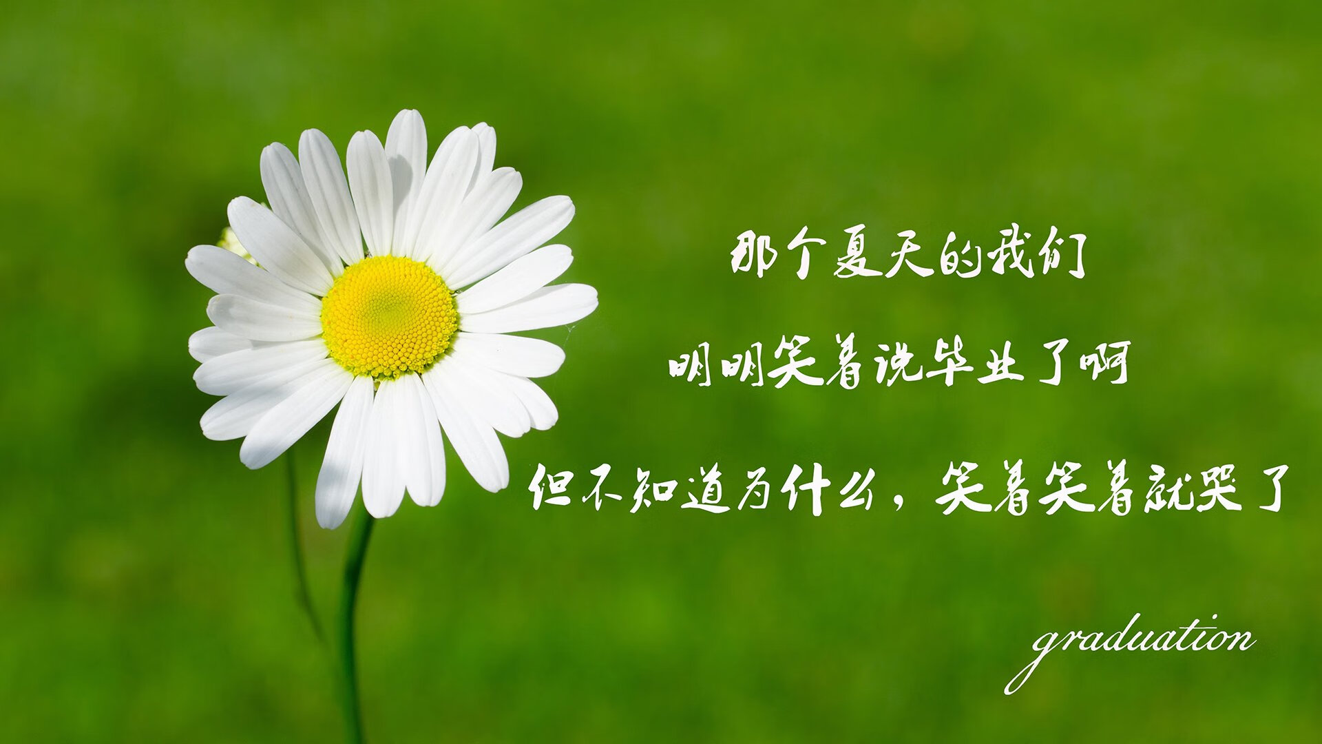 世俱杯-【电子判罚的争议】VAR是否降低了裁判误判率？，var裁判有几个